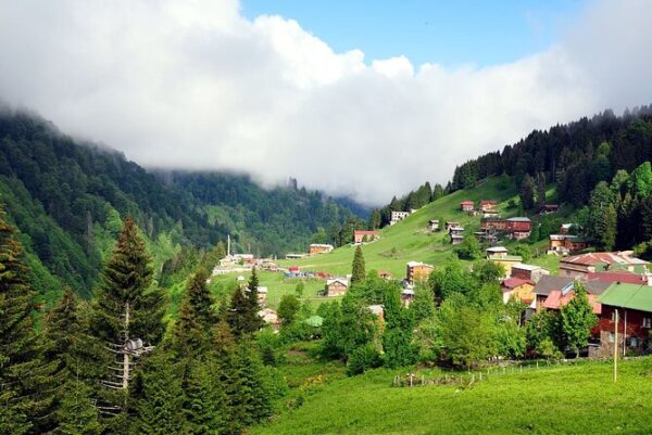Ayder Tour