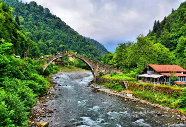 Rize Tour