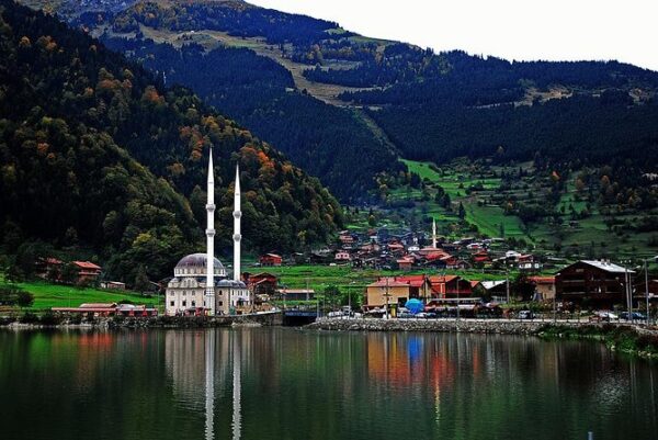 Uzungol Tour