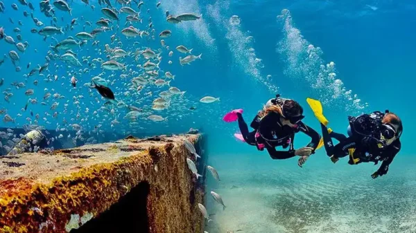 Diving Tour